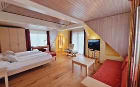 Engimatt City&Garden Hotel